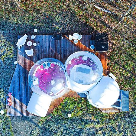 L Ost In Sensations -Hebergements Insolites Et Suites De Luxe Spa Sauna Piscine Foret Marcenais Kültér fotó